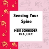 MEIR SCHNEIDER, PHD, LMT: Sensing Your Spine