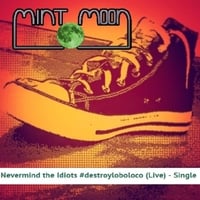 Mint Moon Nevermind The Idiots Destroyloboloco Live - 