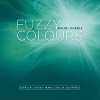 Fuzzy Colors by Wajdi Cherif