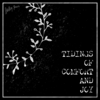 Hailey Jones Tidings Of Comfort And Joy Cd Baby Music Store